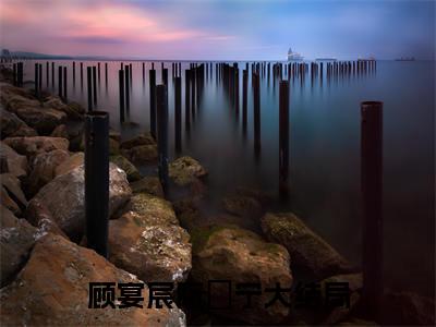（完整版）热文顾宴宸阮玥宁小说阅读-顾宴宸阮玥宁全文抖音热推