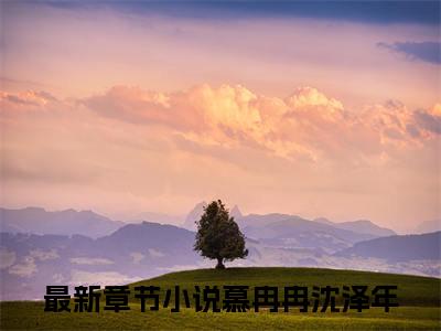 高赞小说慕冉冉沈泽年（慕冉冉沈泽年小说免费阅读）完结阅读_慕冉冉沈泽年小说免费阅读免费看全文