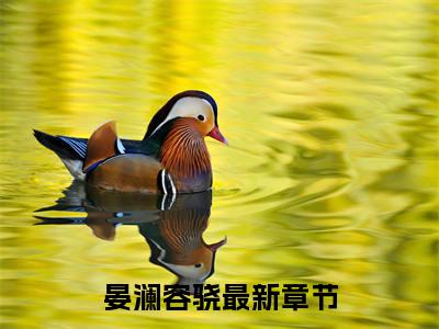 晏澜容骁（晏澜容骁）全文免费阅读_晏澜容骁最新章节列表_笔趣阁