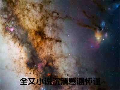 爆款小说《沈清寒谢怀谨》主角沈清寒谢怀谨全文在线完本阅读