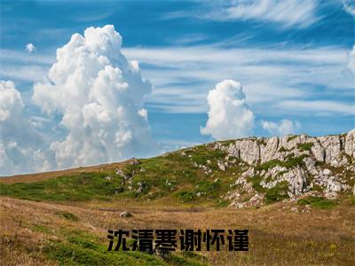 沈清寒谢怀谨(沈清寒谢怀谨小说)全文免费阅读无弹窗大结局_(沈清寒谢怀谨小说免费阅读全文大结局)最新章节列表_笔趣阁（沈清寒谢怀谨小说）