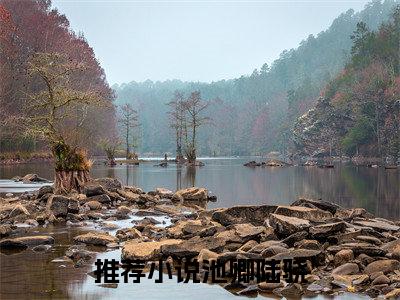 主角为池卿陆骁的小说精彩阅读-池卿陆骁最新章节阅读