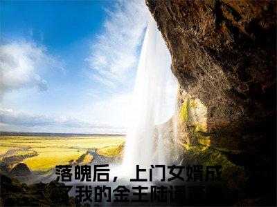 落魄后，上门女婿成了我的金主陆谨言(落魄后，上门女婿成了我的金主陆谨言)全文在线落魄后，上门女婿成了我的金主陆谨言读无弹窗大结局_落魄后，上门女婿成了我的金主陆谨言在线读无弹窗最新章节列表_笔趣阁