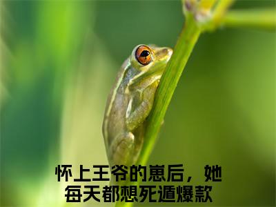 沈渝谢亭殊小说（怀上王爷的崽后，她每天都想死遁）全文免费阅读无弹窗大结局_（沈渝谢亭殊）怀上王爷的崽后，她每天都想死遁小说最新章节列表