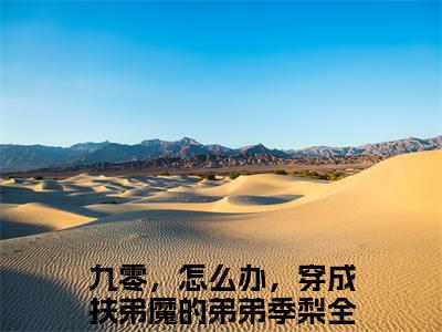 主角是《九零，怎么办，穿成扶弟魔的弟弟季梨》的小说强推-爱情小说免费阅读-九零，怎么办，穿成扶弟魔的弟弟季梨