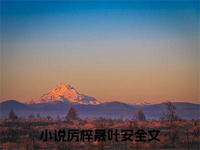 厉梓晟叶安全文热榜小说已完结-热门小说已更新厉梓晟叶安