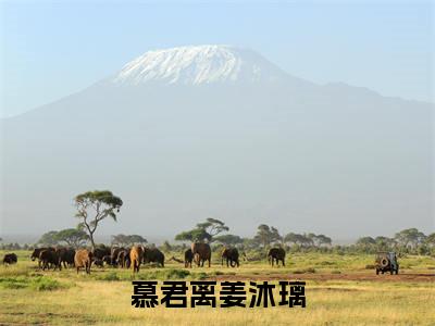 慕君离姜沐璃（慕君离姜沐璃）全文免费阅读无弹窗大结局-（慕君离姜沐璃）无弹窗-笔趣阁