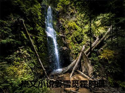 姜雪觅霍时渊小说最新章节试读_姜雪觅霍时渊是(姜雪觅霍时渊)小说主角热门推荐_笔趣阁