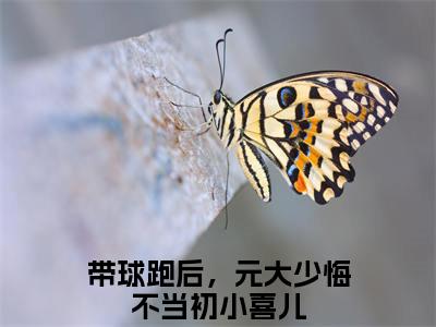 带球跑后，元大少悔不当初小喜儿全文免费在线阅读_（带球跑后，元大少悔不当初小喜儿全文免费阅读无弹窗大结局）