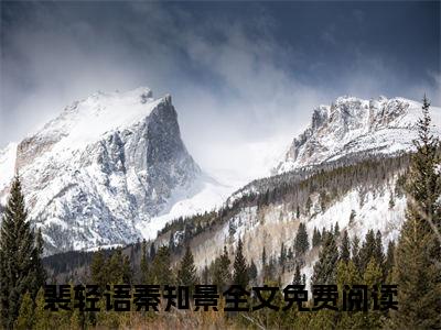 裴轻语秦知景（裴轻语秦知景全文免费阅读）完结阅读_裴轻语秦知景全文免费阅读免费看全文