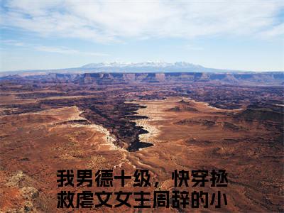 我男德十级，快穿拯救虐文女主周辞免费阅读无弹窗，我男德十级，快穿拯救虐文女主周辞小说大结局全文免费阅读