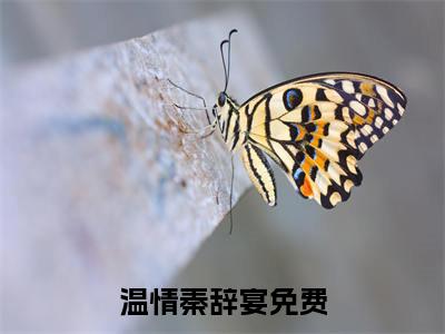 温情秦辞宴全文（温情秦辞宴）抖音热推小说全集无删减_温情秦辞宴免费最新章节列表_笔趣阁