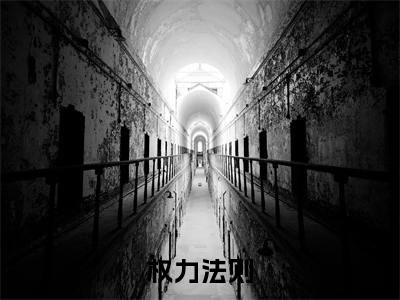 权力法则全文免费阅读大结局-权力法则最新章节免费阅读大结局