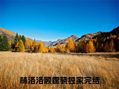 林洛洛顾霆骁全文免费阅读大结局-（林洛洛顾霆骁）最新章节列表在线阅读