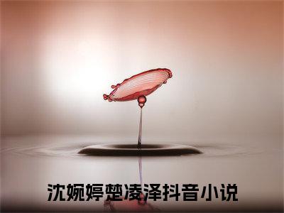 沈婉婷楚凌泽(沈婉婷楚凌泽)全文免费阅读_沈婉婷楚凌泽章节免费阅读-笔趣阁