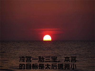 冷宫一胎三宝，本宫的目标是太后唐菀全文免费完整版-冷宫一胎三宝，本宫的目标是太后唐菀小说阅读