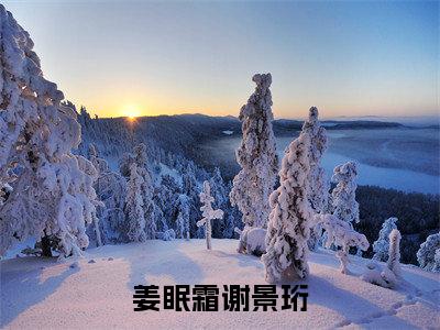 姜眠霜谢景珩（姜眠霜谢景珩）全集免费阅读无弹窗_姜眠霜谢景珩最新章节列表