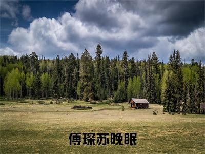 傅琛苏晚眠全本资源免费阅读结局无删节主角：傅琛苏晚眠小说全文阅读无弹窗