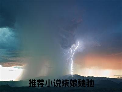 柒娘魏驰最新章节在线阅读-小说全文阅读