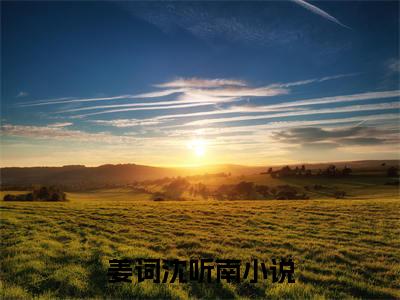 姜词沈听南（姜词沈听南）最新章节在线阅读-（姜词沈听南）小说全文免费阅读