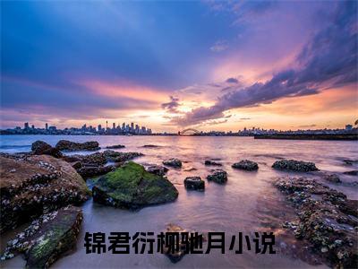 锦君衍柳驰月最新章节小说推荐阅读-新书锦君衍柳驰月精彩片段阅读