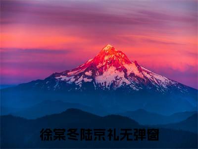 徐棠冬陆京礼小说（徐棠冬陆京礼）全文免费阅读结局-徐棠冬陆京礼强推全文阅读无弹窗