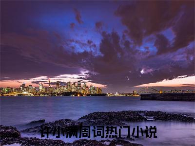 许小满周词热门小说最新章节阅读-老书虫书荒推荐热点小说（许小满周词）