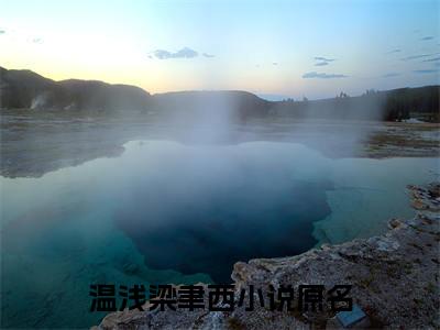 主角叫温浅梁聿西的小说在哪阅读温浅梁聿西是什么小说
