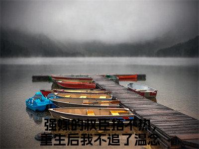 强嫁的权臣捂不热，重生后我不追了温念兮（强嫁的权臣捂不热，重生后我不追了温念兮）全文免费阅读无弹窗大结局_强嫁的权臣捂不热，重生后我不追了温念兮最新章节列表_笔趣阁