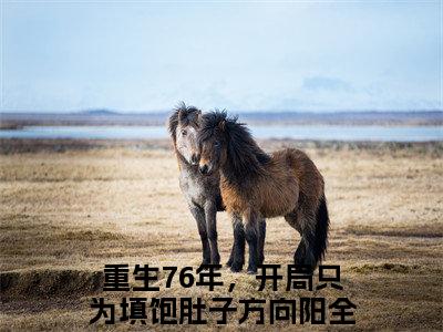 重生76年，开局只为填饱肚子方向阳全文免费阅读_重生76年，开局只为填饱肚子方向阳（重生76年，开局只为填饱肚子方向阳）小说在线阅读最新章节列表笔趣阁