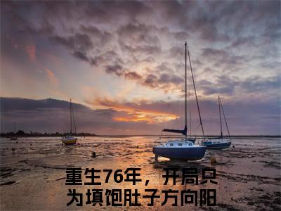 重生76年，开局只为填饱肚子方向阳正版小说全文阅读 重生76年，开局只为填饱肚子方向阳全文免费完整版