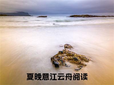 夏晚意江云舟结局_夏晚意江云舟最新章节列表_笔趣阁