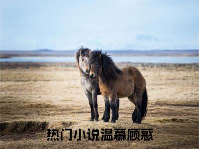 温慕顾惑（温慕顾惑）小说在线阅读_温慕顾惑免费阅读笔趣阁（温慕顾惑）