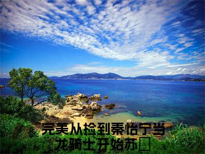 完美从捡到秦怡宁当龙骑士开始苏炡免费小说 完美从捡到秦怡宁当龙骑士开始苏炡在线小说免费阅读目录