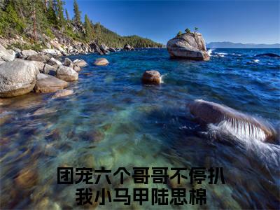 团宠六个哥哥不停扒我小马甲陆思棉小说(团宠六个哥哥不停扒我小马甲陆思棉）小说全文免费团宠六个哥哥不停扒我小马甲陆思棉读无弹窗大结局