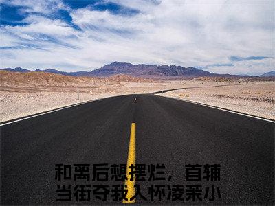和离后想摆烂，首辅当街夺我入怀凌茉小说（和离后想摆烂，首辅当街夺我入怀凌茉）全文免费阅读结局-和离后想摆烂，首辅当街夺我入怀凌茉全文完结版阅读