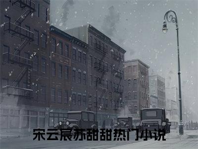 宋云宸苏甜甜抖音近期热门小说-宋云宸苏甜甜完结版在线阅读