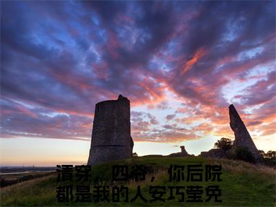 清穿，四爷，你后院都是我的人安巧莹小说主角叫什么 清穿，四爷，你后院都是我的人安巧莹全文免费阅读大结局