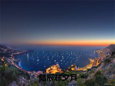陆辰林夕月小说(陆辰林夕月)免费阅读无弹窗，小说名字是：陆辰林夕月的小说在线阅读无删减