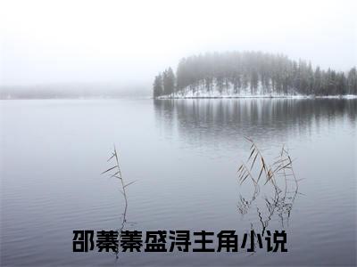 好书推荐小说邵蓁蓁盛浔-邵蓁蓁盛浔全文免费阅读大结局