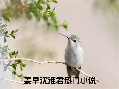 主角为姜早沈淮君的小说（姜早沈淮君）无弹窗大结局-姜早沈淮君最新小说全文阅读最新章节列表_笔趣阁