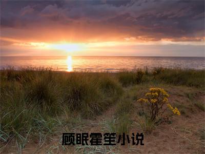 顾眠霍笙（顾眠霍笙）全文免费阅读无弹窗大结局_顾眠霍笙全文免费阅读