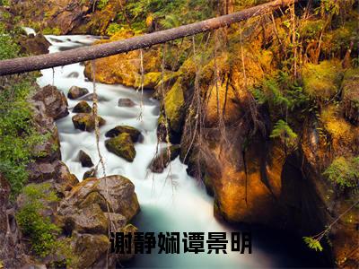 谢静娴谭景明(谢静娴谭景明)全文免费阅读无弹窗大结局_谢静娴谭景明(谢静娴谭景明小说全文无弹窗)完整版最新阅读（谢静娴谭景明）