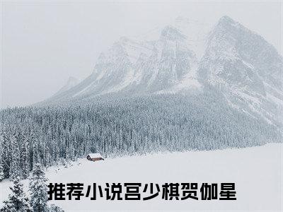 宫少棋贺伽星小说(宫少棋贺伽星)全文免费宫少棋贺伽星读无弹窗大结局_(宫少棋贺伽星小说免费阅读)