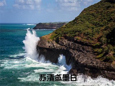 《热门小说苏清鸢墨白》最新章节by苏清鸢墨白完整版在线阅读