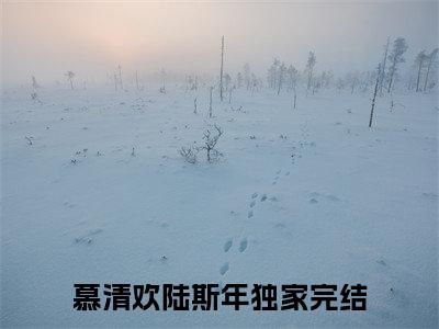 慕清欢陆斯年无删版小说阅读-慕清欢陆斯年全文无弹窗试读