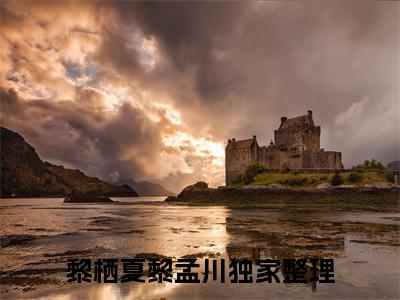 黎栖夏黎孟川（黎栖夏黎孟川)全文免费阅读无弹窗大结局_黎栖夏黎孟川全文免费阅读_笔趣阁（黎栖夏黎孟川）