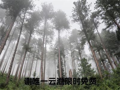 谢唯一云澹小说（谢唯一云澹）全文免费阅读无弹窗_谢唯一云澹全文免费阅读无弹窗最新章节列表
