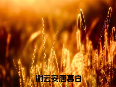 谢云安唐慕白（谢云安唐慕白）全文免费阅读无弹窗大结局_谢云安唐慕白小说最新章节列表笔趣阁（谢云安唐慕白）