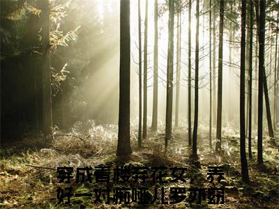 穿成青楼弃花女，养好一对痴哑儿罗亦窈（穿成青楼弃花女，养好一对痴哑儿罗亦窈）高质量小说推荐阅读-最新小说穿成青楼弃花女，养好一对痴哑儿罗亦窈全文阅读